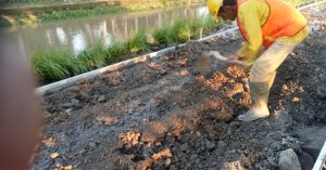 Oplus_131074 Oplus_131074